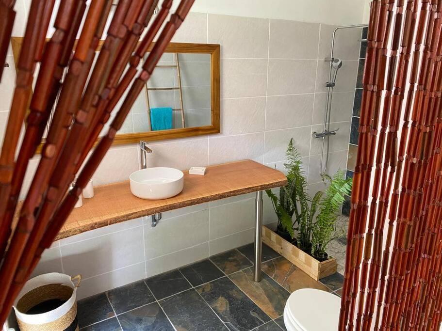 Ferienwohnung Zayann Zen Gourbeyre Exterior foto