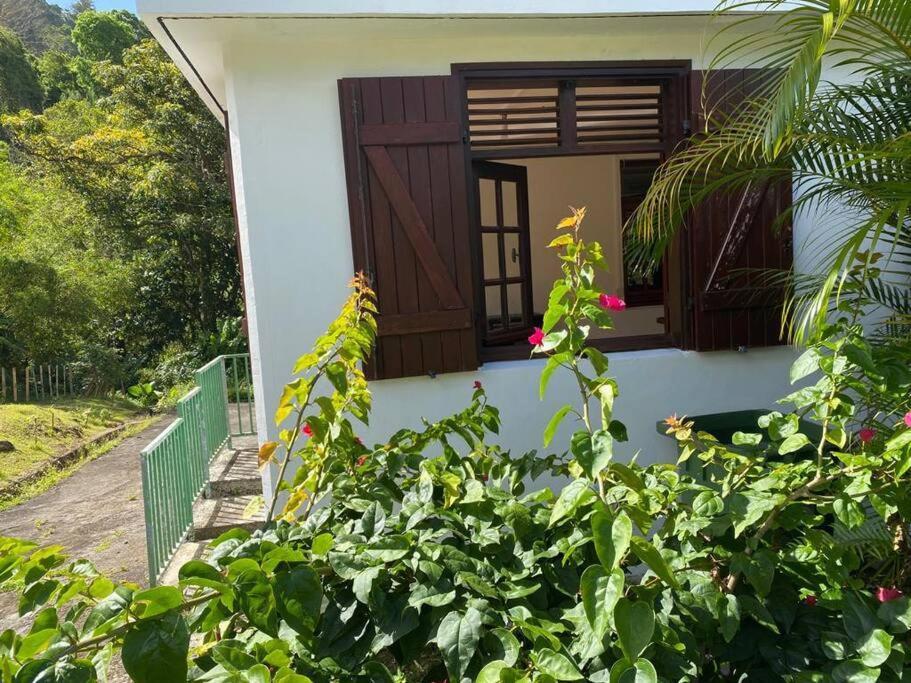 Ferienwohnung Zayann Zen Gourbeyre Exterior foto